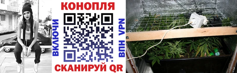 МАРИХУАНА марихуана  Заволжск 